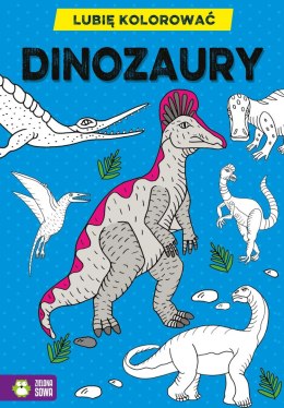 Książeczka edukacyjna Lubię kolorować. Dinozaury Zielona Sowa Zielona Sowa