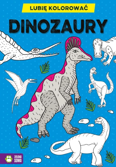 Książeczka edukacyjna Lubię kolorować. Dinozaury Zielona Sowa Zielona Sowa