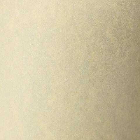 Papier ozdobny (wizytówkowy) Granit A4 kremowy 220g Galeria Papieru (200402) Galeria Papieru
