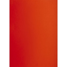 Brystol TOP-2000 A3 czerwony 160g 25k [mm:] 297x420 (400150235) TOP-2000